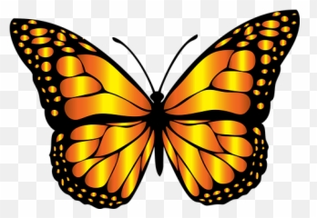 Download Flying Butterfly Drawing - Clipart Monarch Png