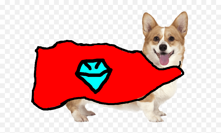 Corgi Clicker Tynker - Dog Clothes Png,Corgi Transparent