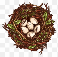 Nest Png