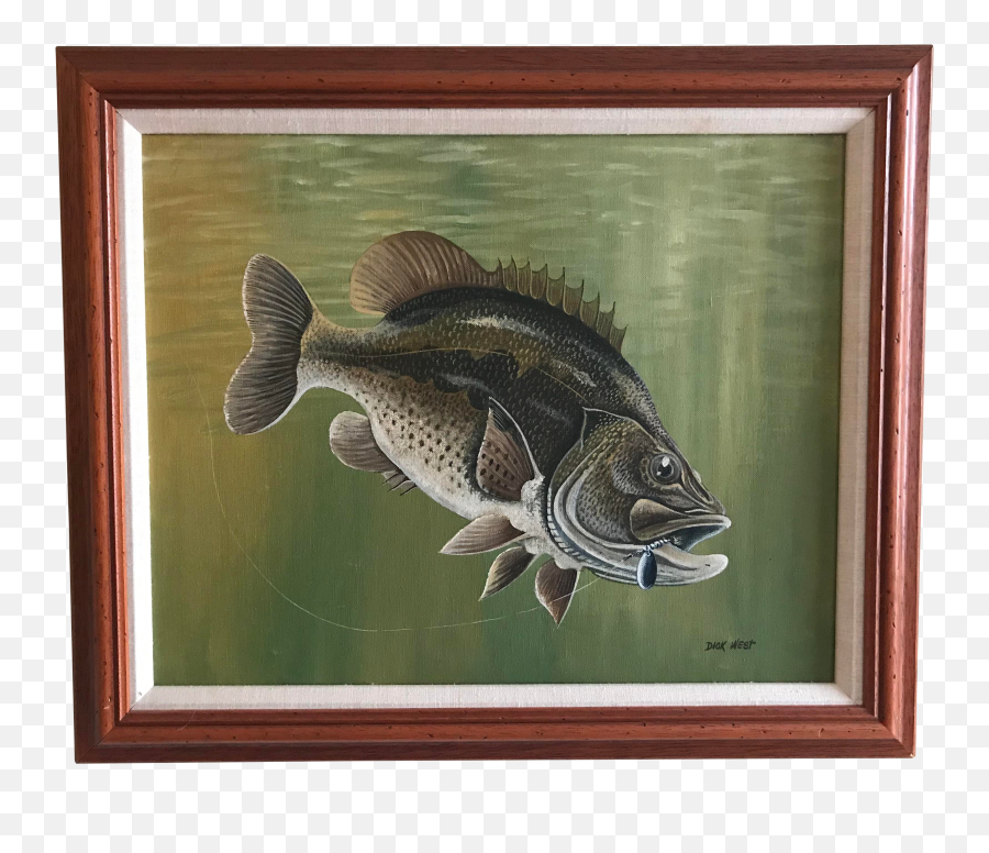 Largemouth Bass - Poster Frame Png,Largemouth Bass Png