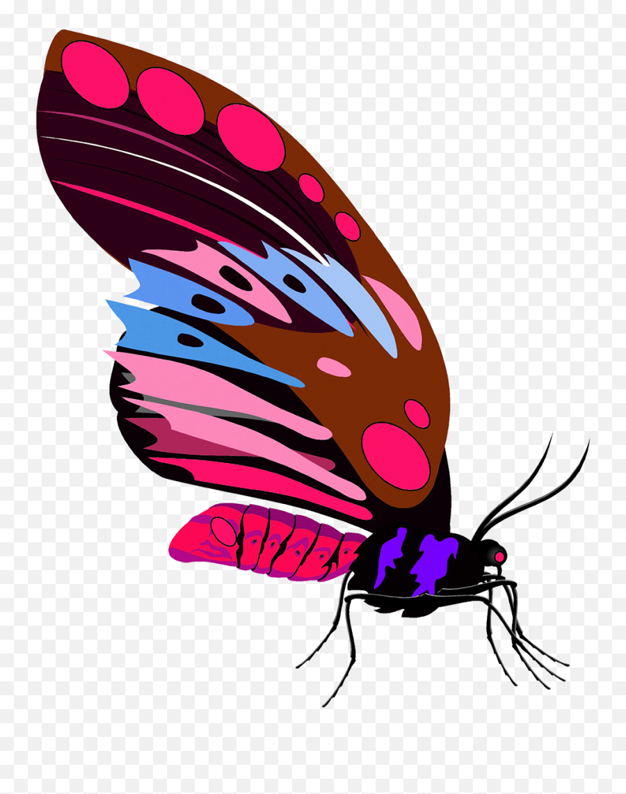 Butterfly Clipart - Girly Png,Png Butterfly