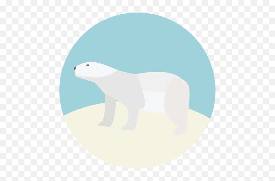 Polar Bear Png Image