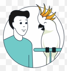 How To Give A Misting Bird Bath - BirdSuppliescom Language png