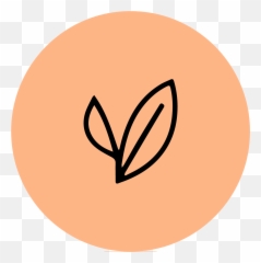 Jeshau0027s Bakery Activated Grains Powered By Sourdough Culture - Dot png