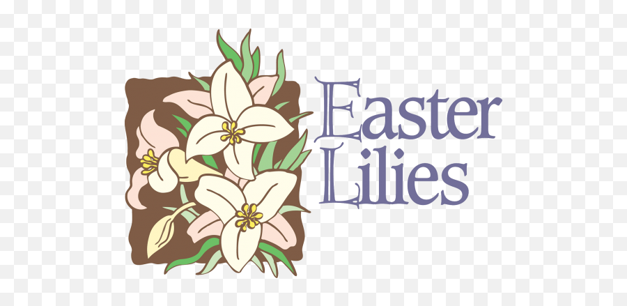 News And Events U2013 St John United Church Of Christ New - Easter Lilies Clip Art Png,Easter Lily Png