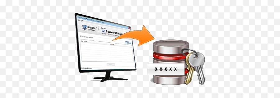 Sql Server Database Password Recovery To Reset - Language Png,Password Recovery Icon