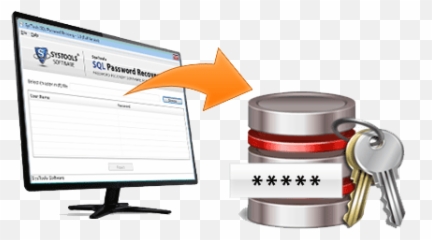 Sql Server Database Password Recovery To Reset - Language png
