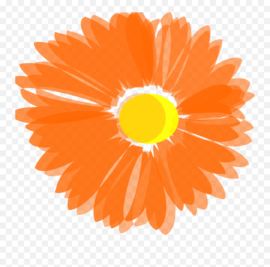 Vector Orange Floral Transparent Png - Orange Flower Vector Png,Orange Flowers Png