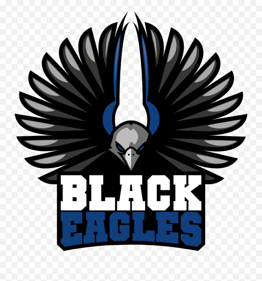 Black Eagles - Logo Black Eagles Png,Eagles Logo Png