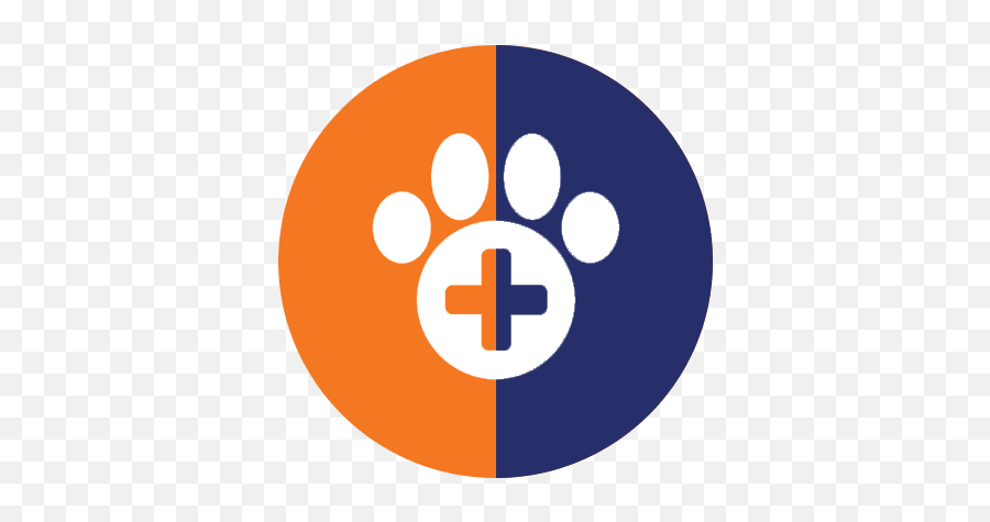 Veterinarian Whitestone College Point Bayside - Dot Png,Laughing Icon Facebook