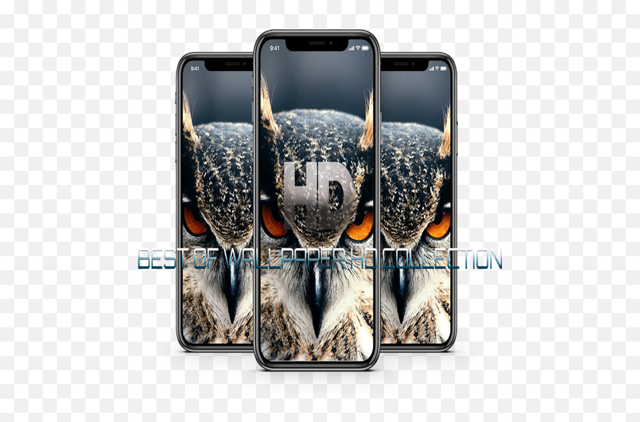 Owl Wallpaper Screen Apk 10 - Download Apk Latest Version Camera Phone Png,Life360 Icon Aesthetic