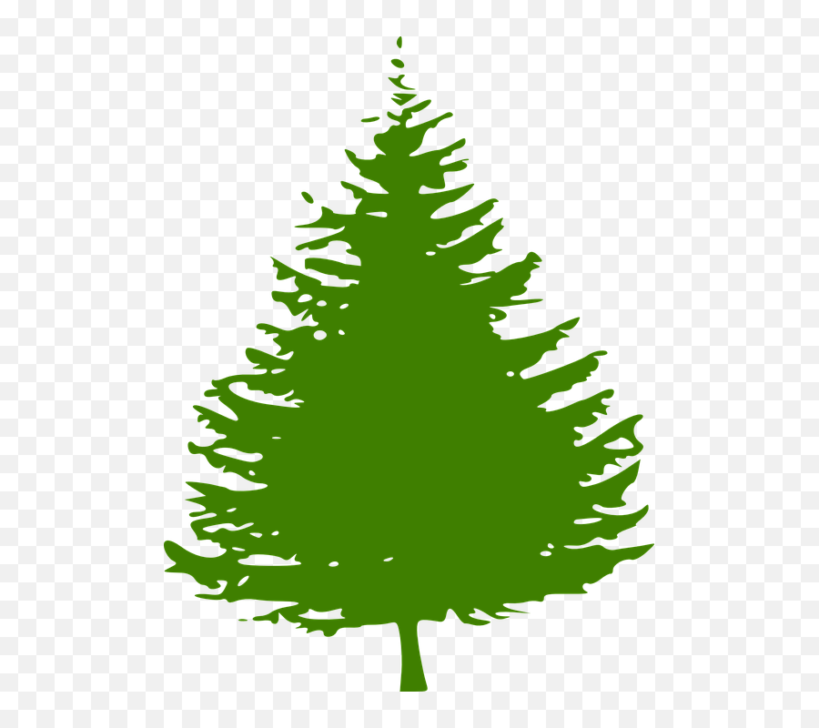 Pine Tree Logo - Clipart Best Pine Tree Vector Png,Pine Tree Logo