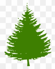Pine Tree Logo - ClipArt Best Vector Png