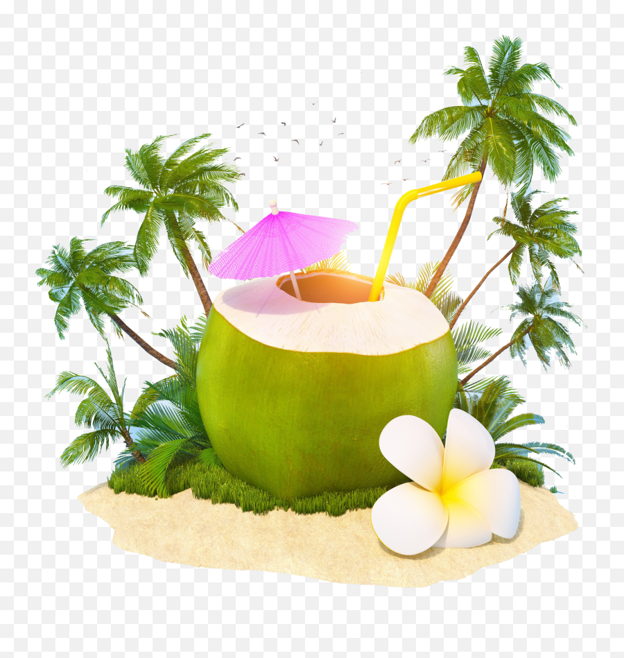 Free Png Coconut - World Coconut Day 2019,Coconut Png