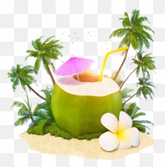 Free Png Coconut - World Coconut Day 2019,Coconut Png