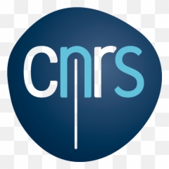 Png Format Vectoriel Transparent - Centre National De La Recherche Scientifique,Vectorise Png