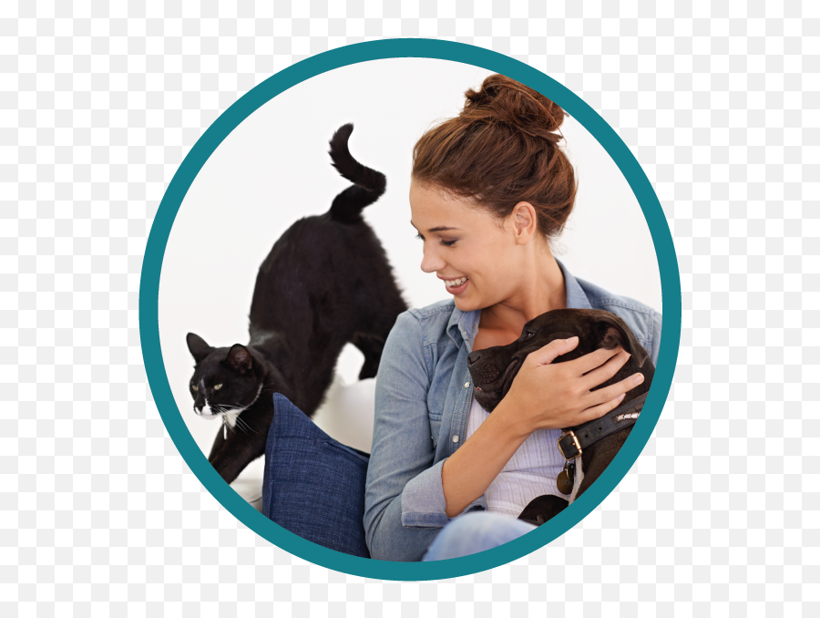 Your Local Veterinarians In South Mississauga Ontario - Dog Png,Dog And Cat Png