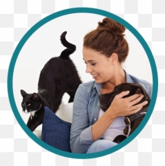 Your Local Veterinarians In South Mississauga Ontario - Dog Png,Dog And Cat Png