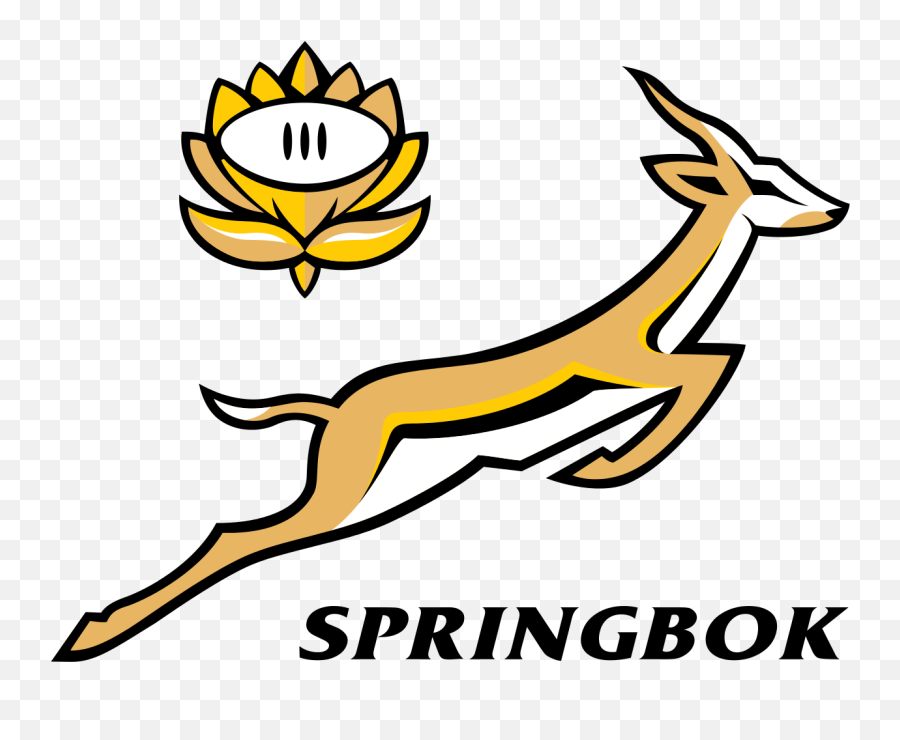The South African National Animal Is - Logo South Africa Rugby World Cup Png,Animal Logo
