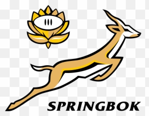 The South African National Animal Is - Logo South Africa Rugby World Cup Png,Animal Logo