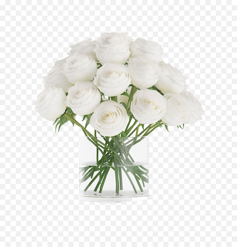 White Roses Png Free Download - White Flower Vase Png,White Roses Png