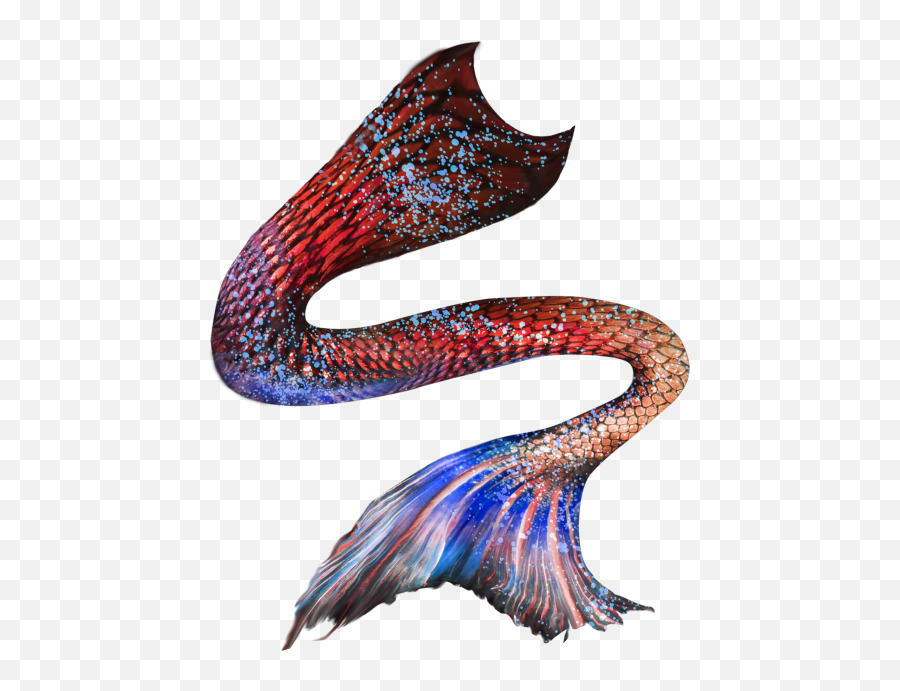 Mermaid Tail 03 Png - Photo 434 Free Png Download Image Mermaid Tail Transparent Pictuee,Mermaid Png