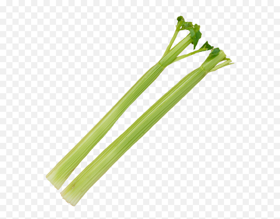 Download Celery Stick Png - Leek,Celery Png