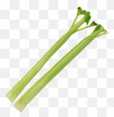 Download Celery Stick Png - Leek,Celery Png