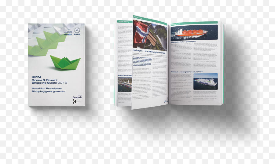 Smm Green Smart Shipping Guide 2019 - Flyer Png,Shipping Png