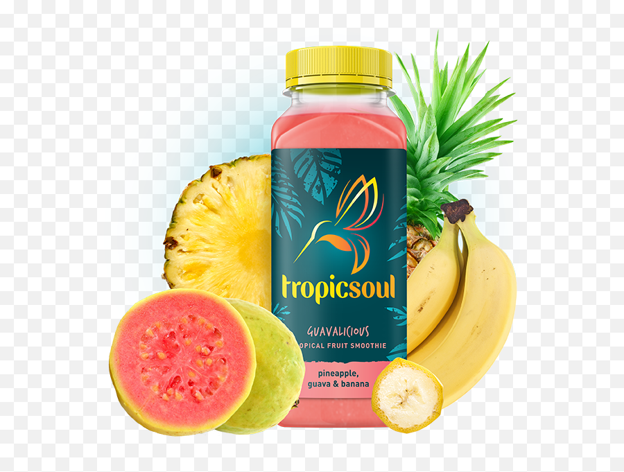 Guavalicious Tropic Soul - Watermelon Png,Guava Png