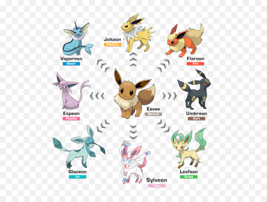 Pokémon Gou0027 Generation 2 Eevee Evolution One - Time Limit For Eevee Pokemon Png,Umbreon Png