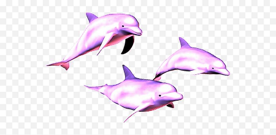 Vaporwave Dolphin Png Image - Vaporwave Aesthetic Dolphin Png,Dolphin Transparent Background