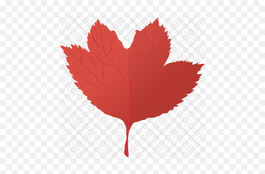 Red Maple Icon Of Flat Style - Red Maple Png,Maple Png