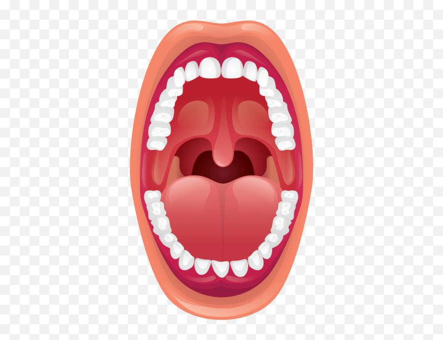 4 Simple Practices For Healthy Tonsils - Healthy Tonsils Png,Open Mouth Png