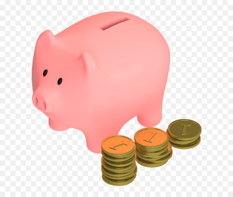 Pig Animal Snout - Porquinho De Moeda Png Transparente,Pennies Png