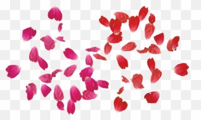 Flower Leaves Png U0026 Free Leavespng Transparent - Rose