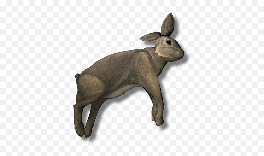 Rabbit Carcass - The Long Dark Png,The Long Dark Icon