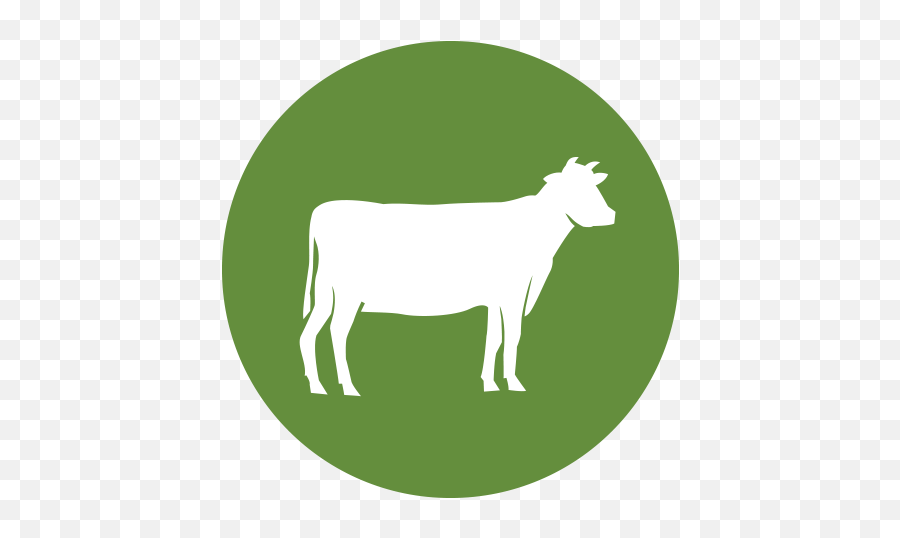 Icon - Beef Raising Standards2x Hormel Foodservice Cow Png,Don Icon