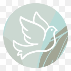 Blog 1 U2014 Afah Counseling Ministry - Old World Flycatchers png