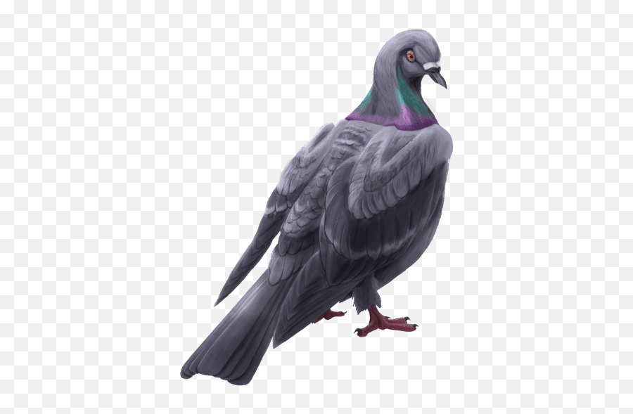 Surrender - Domestic Pigeon Png,Lol Harrowing Icon