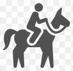 Going Abroad Farm Stay With Horses - Chile Inside Riding Icon Png