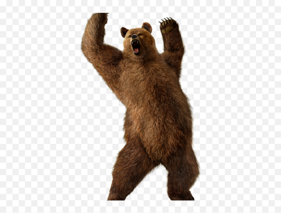 Scary Bear - Transparent Bear Png,Bear Png