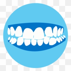 Kelson Orthodontics Boise Meridian Idaho - Happy png