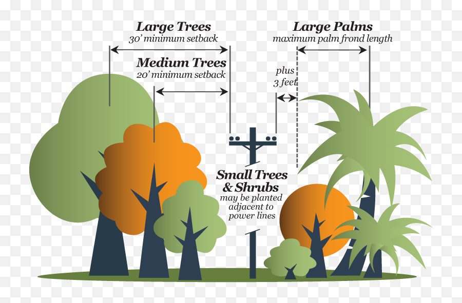 Planning Designworks Urban Forestry Place - Illustration Png,Tree Canopy Png