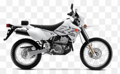 Looking Transparent PNG
