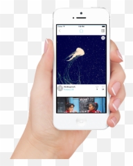 Download Iphone 5 In Hand - Yelp Mobile Business Info png