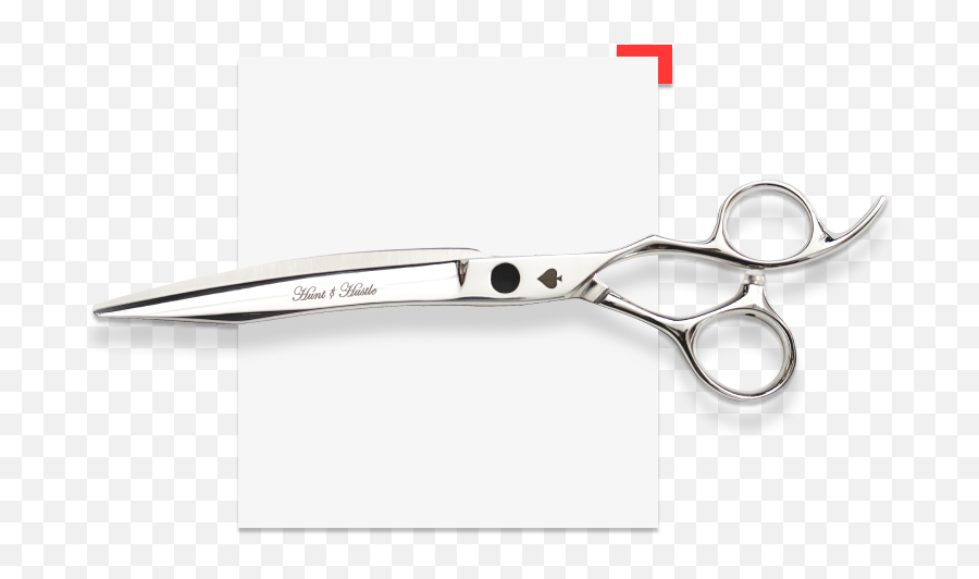 Product - Theaceofspades Hunt U0026 Hustle Hunt U0026 Hustle Scissors Png,Ace Of Spades Png