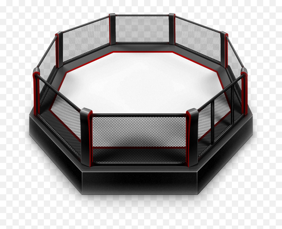 Octagons And Boxing Rings Directly From - Octagon Fight Png,Boxing Ring Png