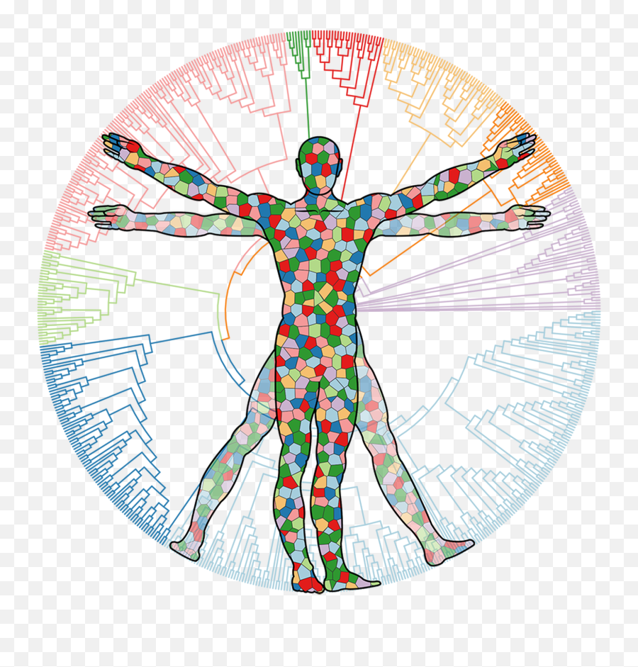 Can We Use The Human Virome To Deliveru2026 Flagship Pioneering - Human Virome Png,Vitruvian Man Png