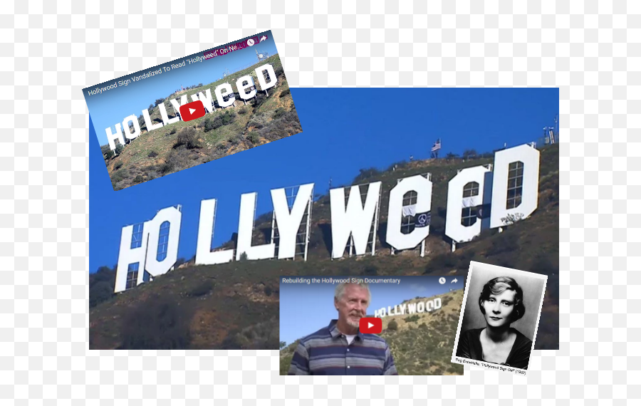 Scg Virals Prankster Changes Famous U0027hollywoodu0027 Sign To - Hollywood Sign Png,Hollywood Sign Transparent
